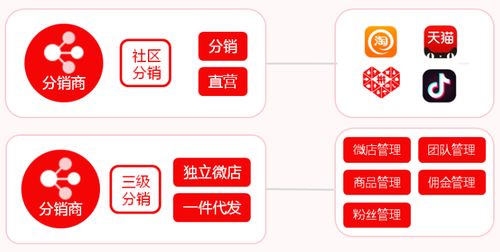 快消品牌私域流量运营 电商订单 导购裂变走出高转化